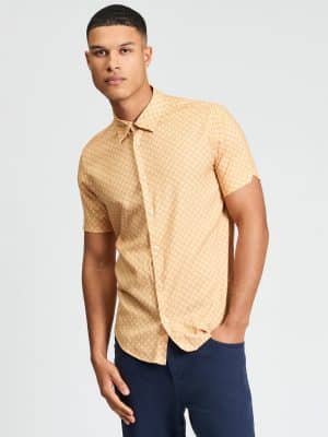 camisa ben sherman linear